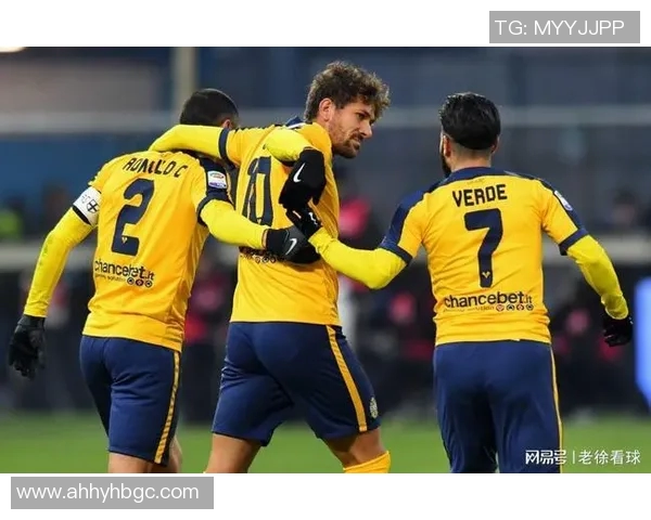 法国与葡萄牙激战正酣CCTV直播精彩赛事全程回顾与分析 法国与葡萄牙激战正酣CCTV直播精彩赛事全程回顾与分析