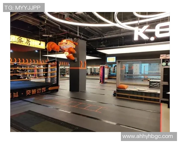 拳击航母引领中国搏击潮流打造最专业的拳击交流平台